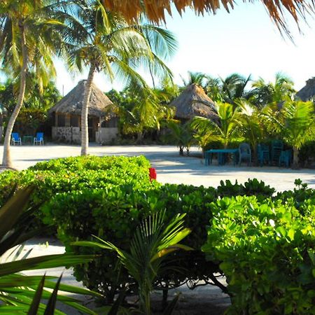 Costa De Cocos Hotell Xcalak Exteriör bild
