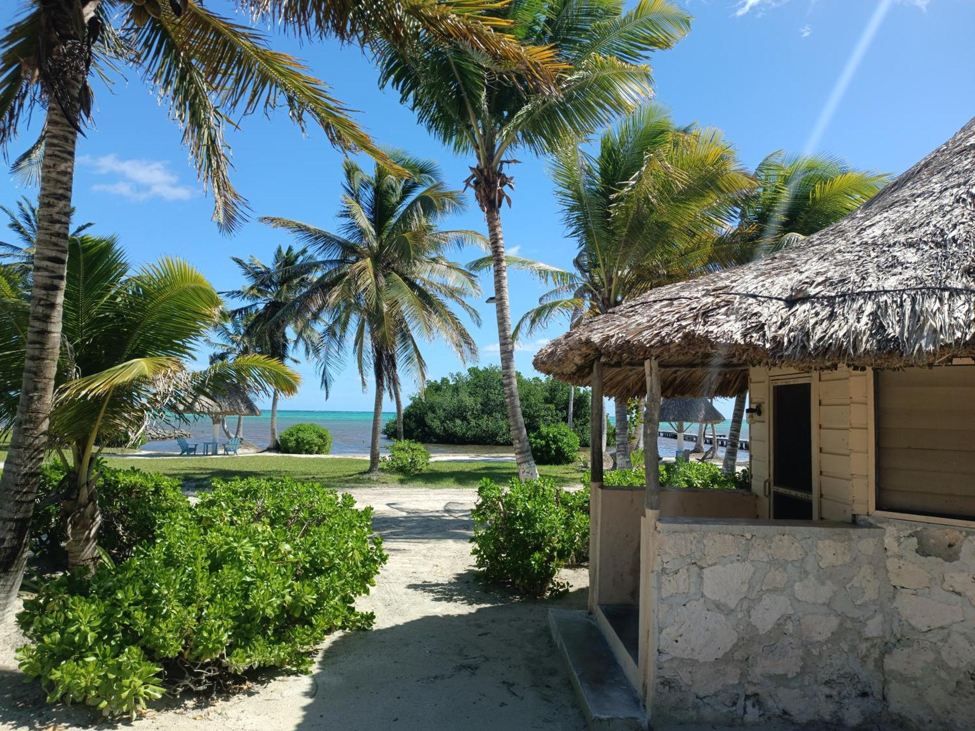 Costa De Cocos Hotell Xcalak Exteriör bild