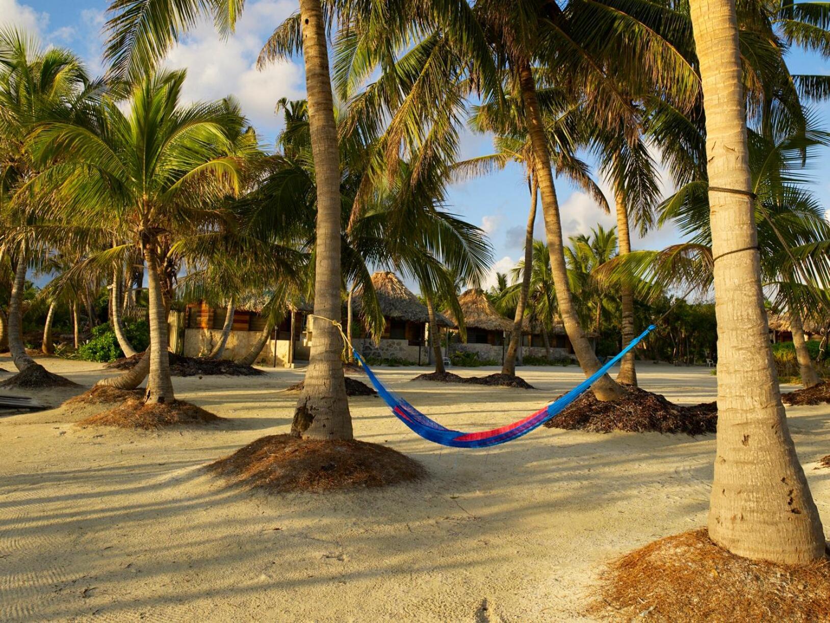 Costa De Cocos Hotell Xcalak Exteriör bild