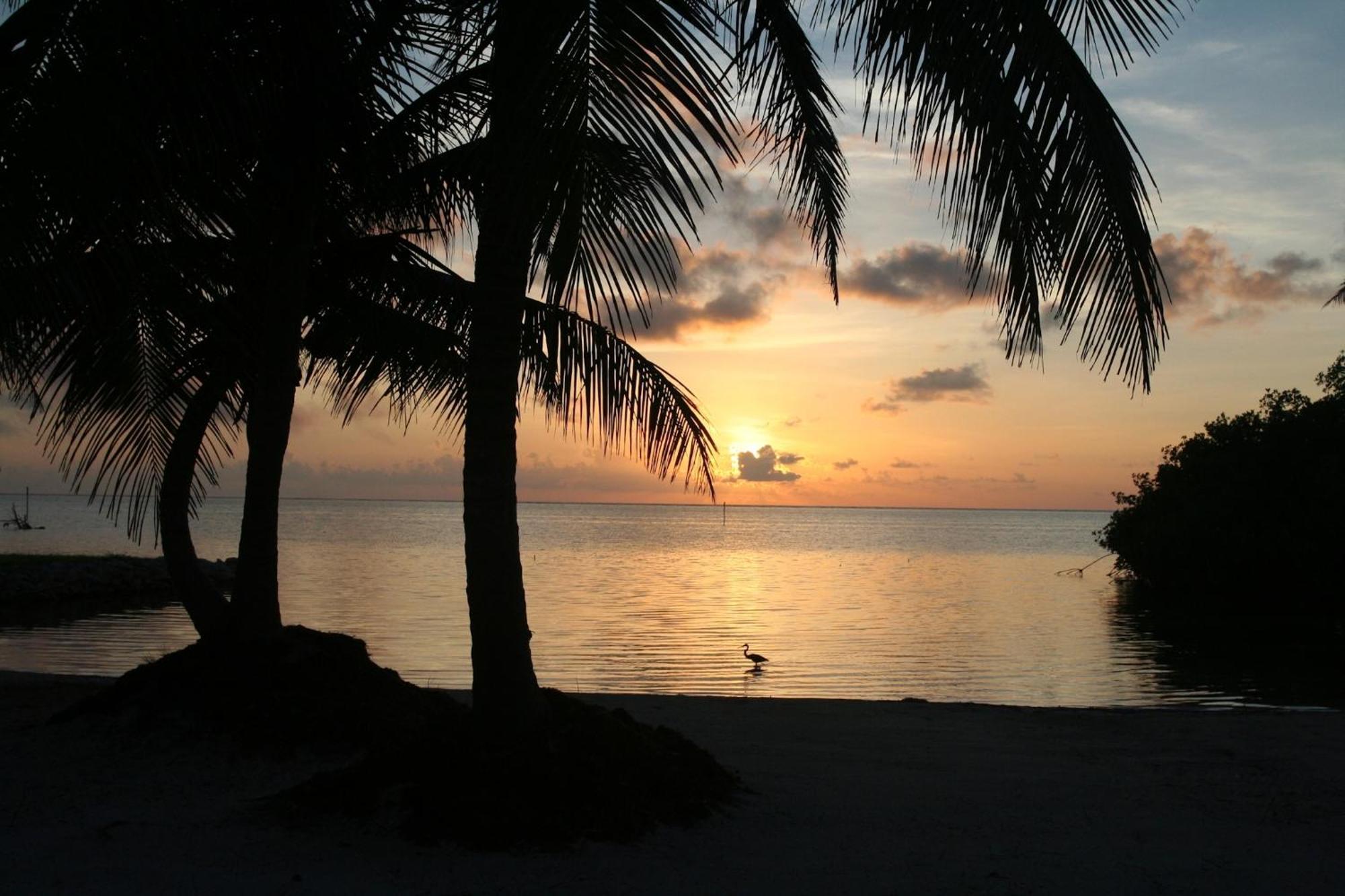 Costa De Cocos Hotell Xcalak Exteriör bild