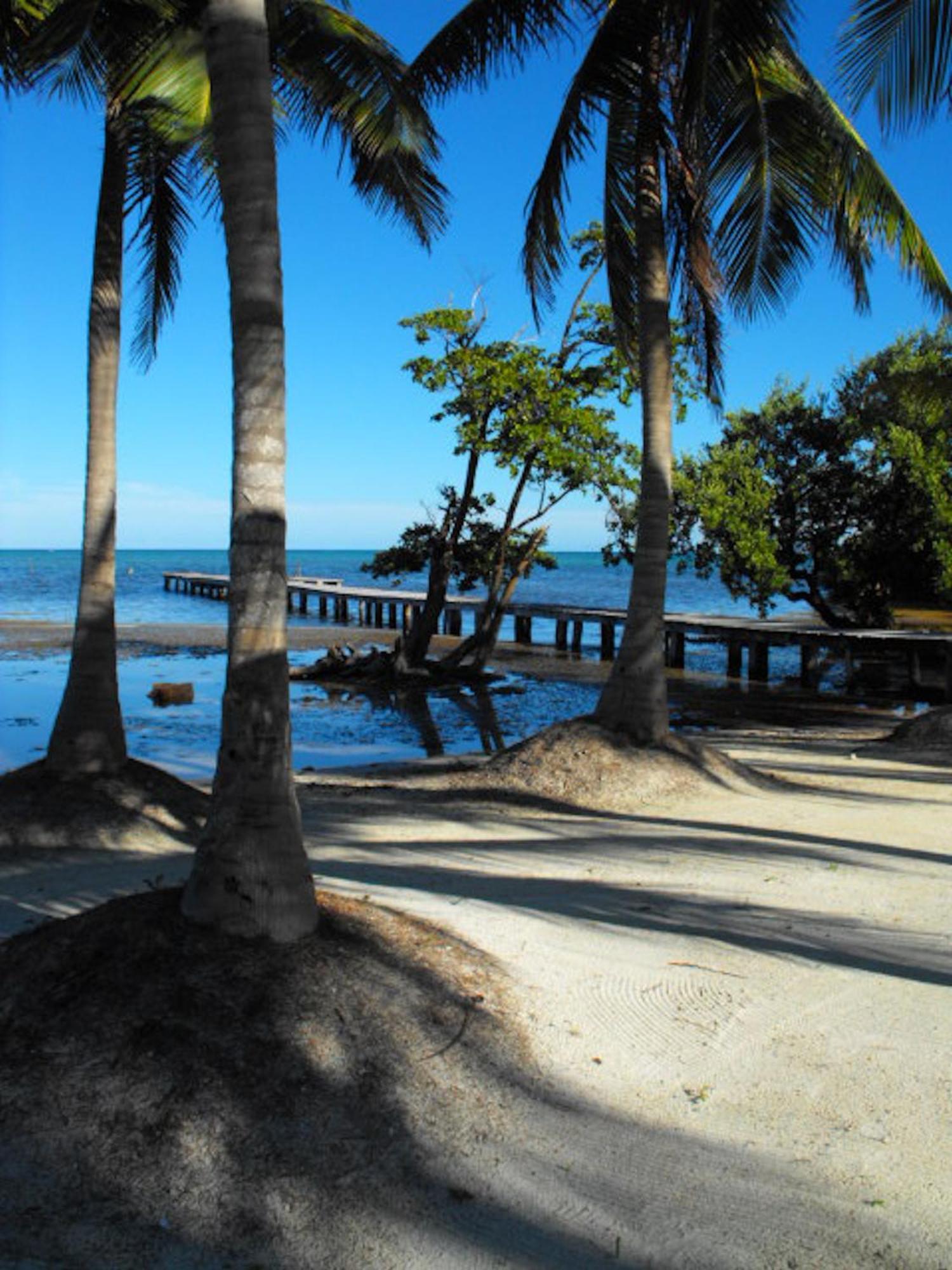 Costa De Cocos Hotell Xcalak Exteriör bild