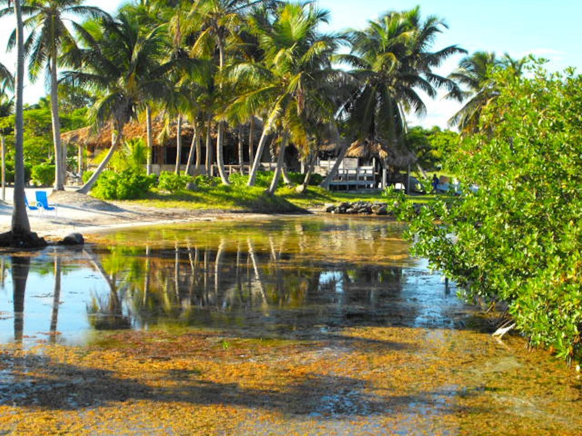 Costa De Cocos Hotell Xcalak Exteriör bild